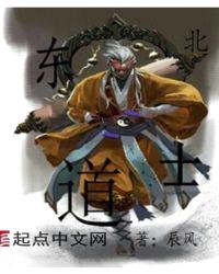 东北道士封面